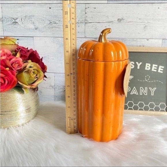 10 Strawberry Street Large Pumpkin Canister - Picture 5 of 5